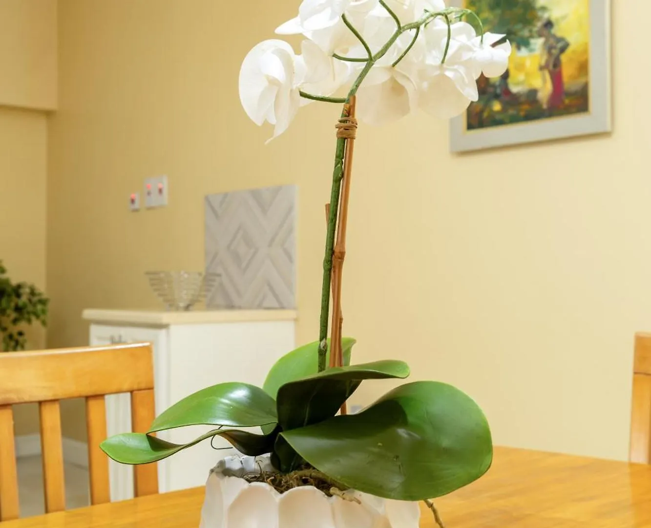 Choose To Be Happy At The Westbury - Two Bedroom Apartment Kingston
